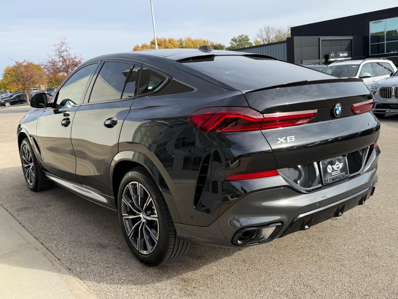 BMW X6 Vehicle Image 06