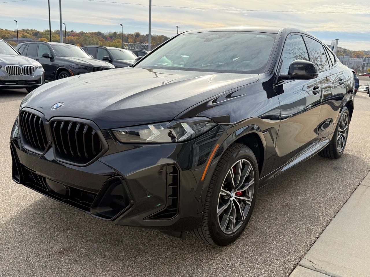 BMW X6 Vehicle Image 08