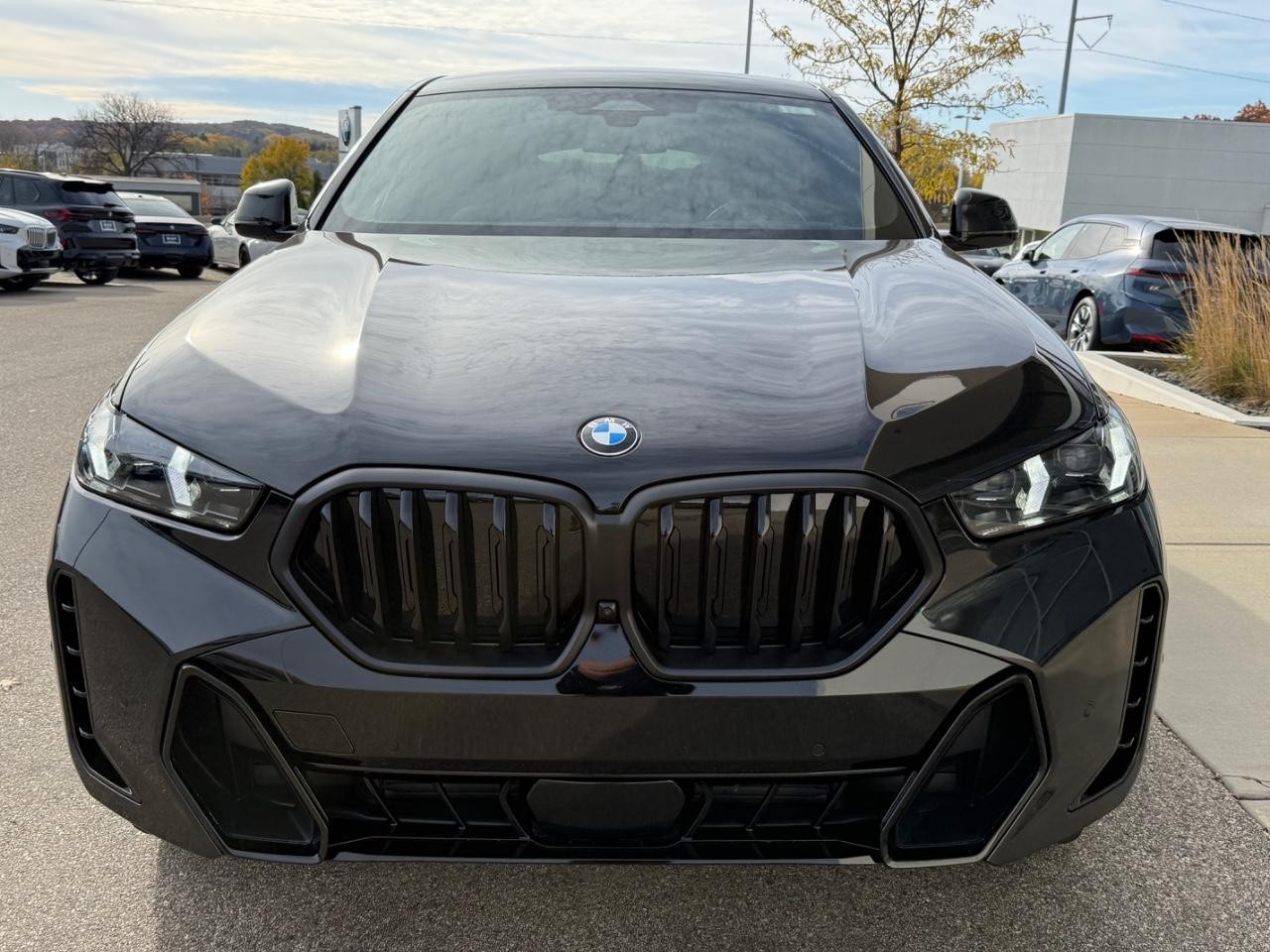 BMW X6 Vehicle Image 09