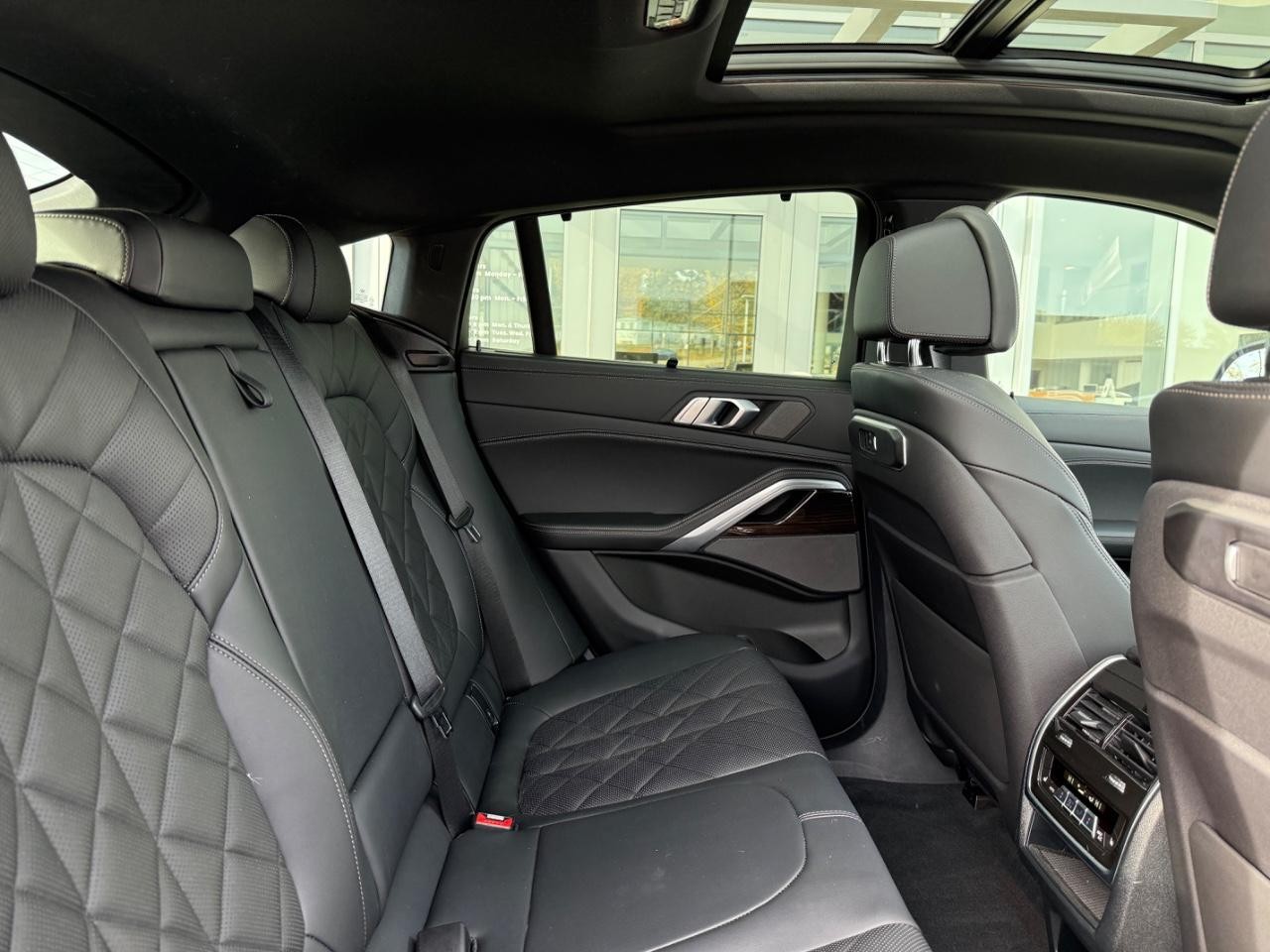 BMW X6 Vehicle Image 10