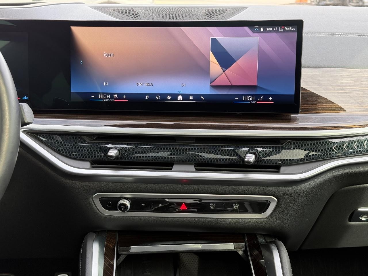 BMW X6 Vehicle Image 12