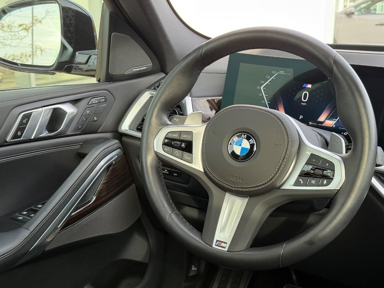 BMW X6 Vehicle Image 14