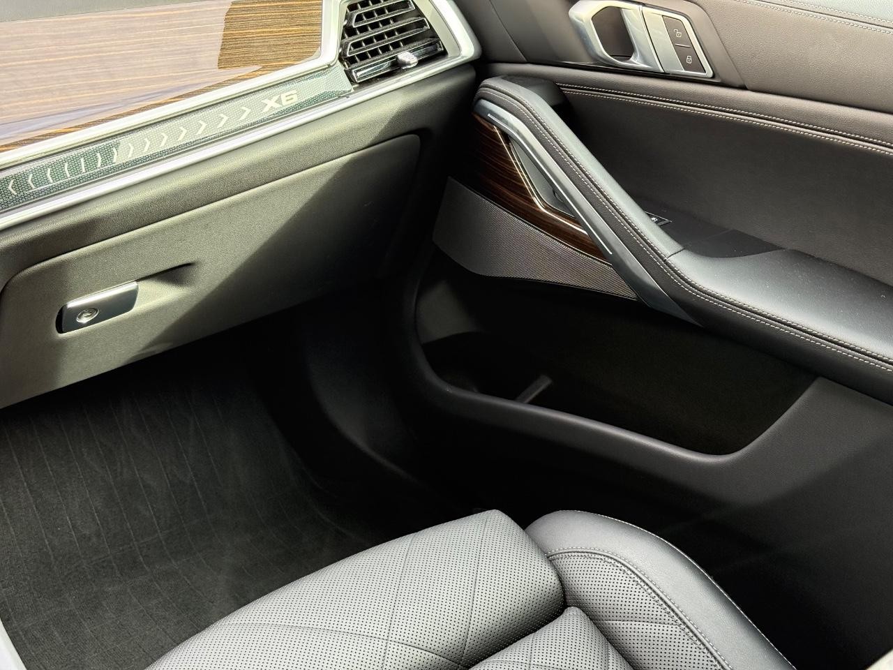 BMW X6 Vehicle Image 15