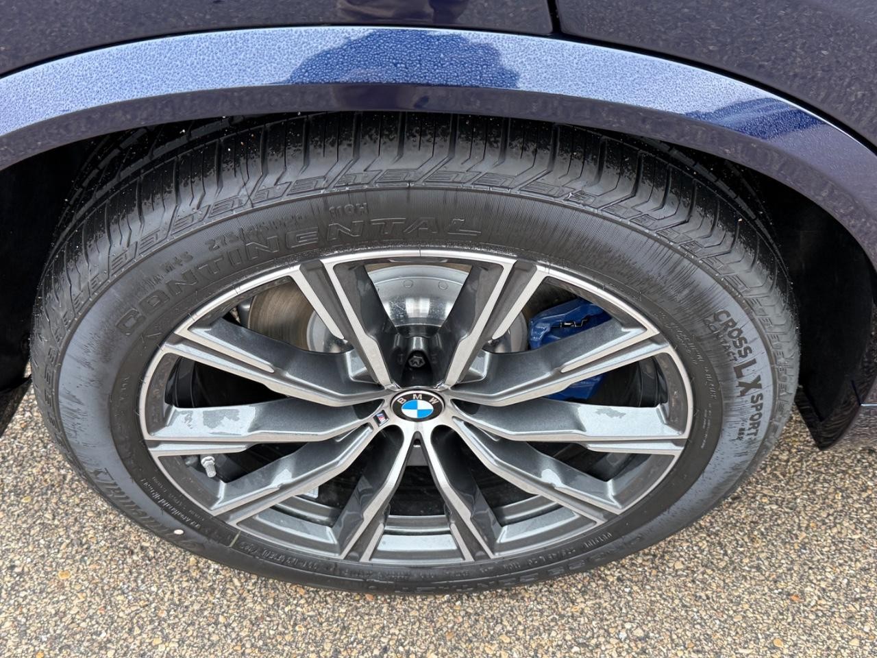 BMW X5 Vehicle Image 04