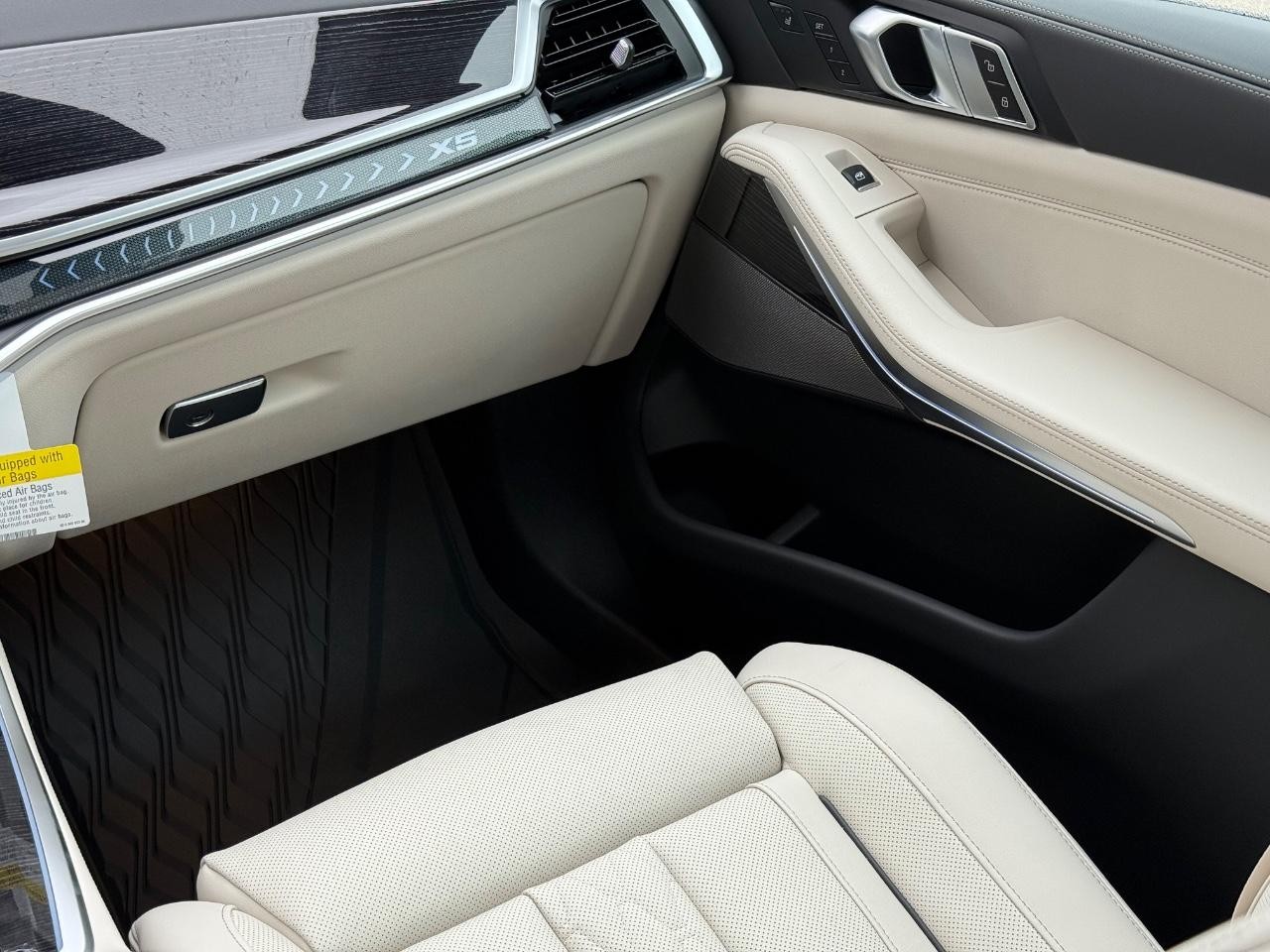 BMW X5 Vehicle Image 10