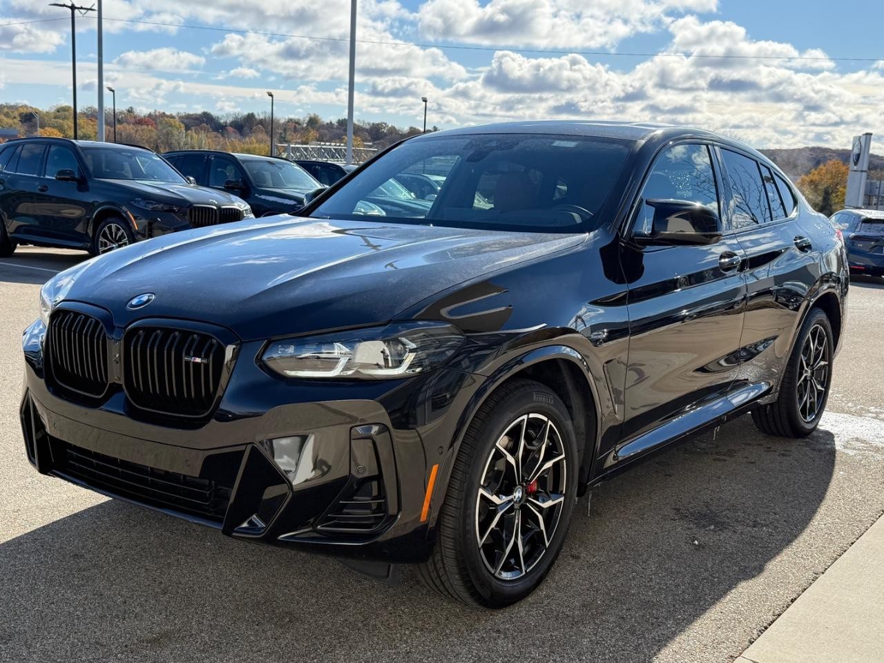 BMW X4 Vehicle Image 08