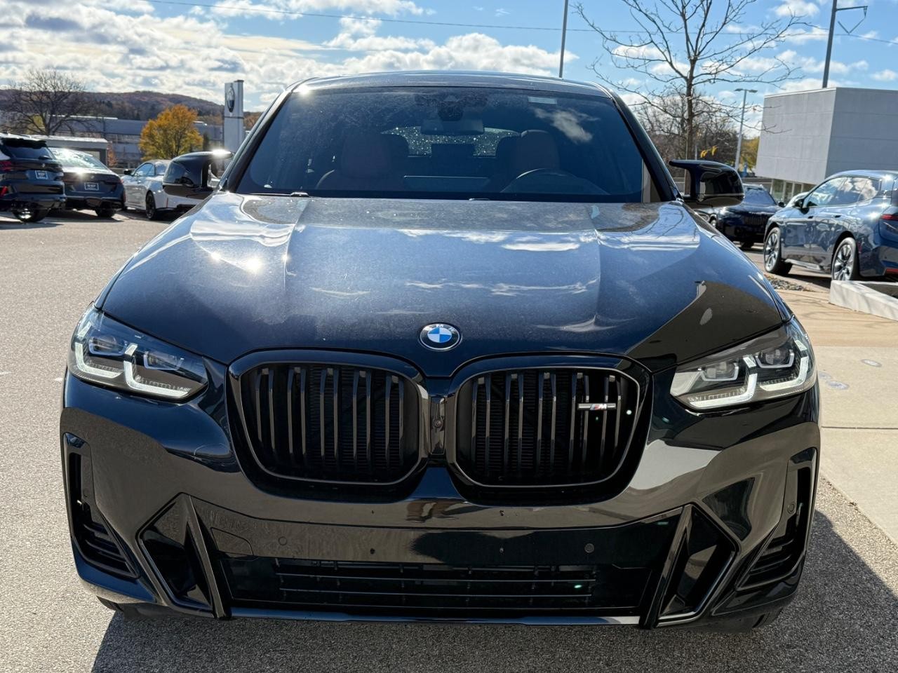 BMW X4 Vehicle Image 09