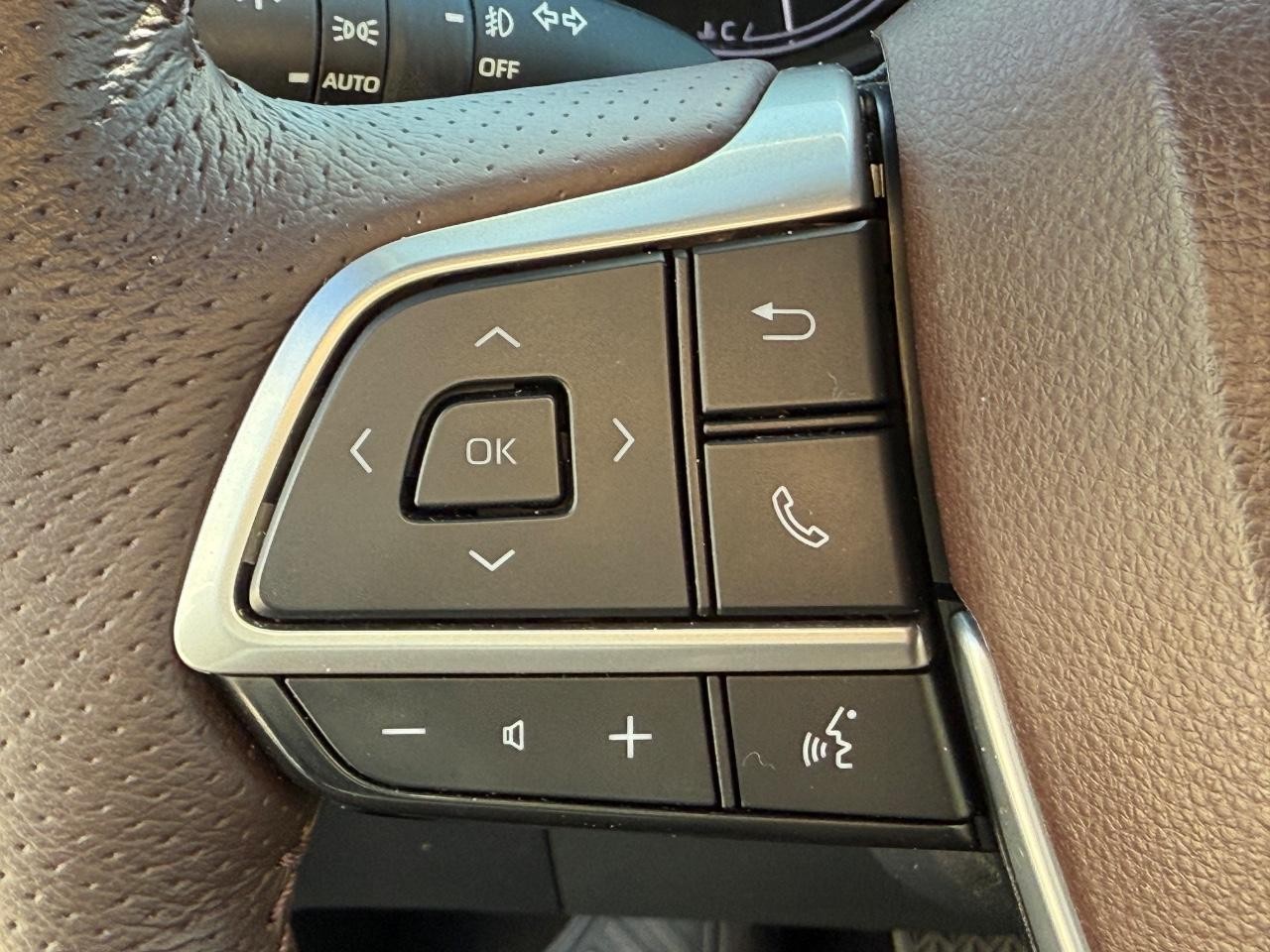 Toyota Sienna Vehicle Image 20