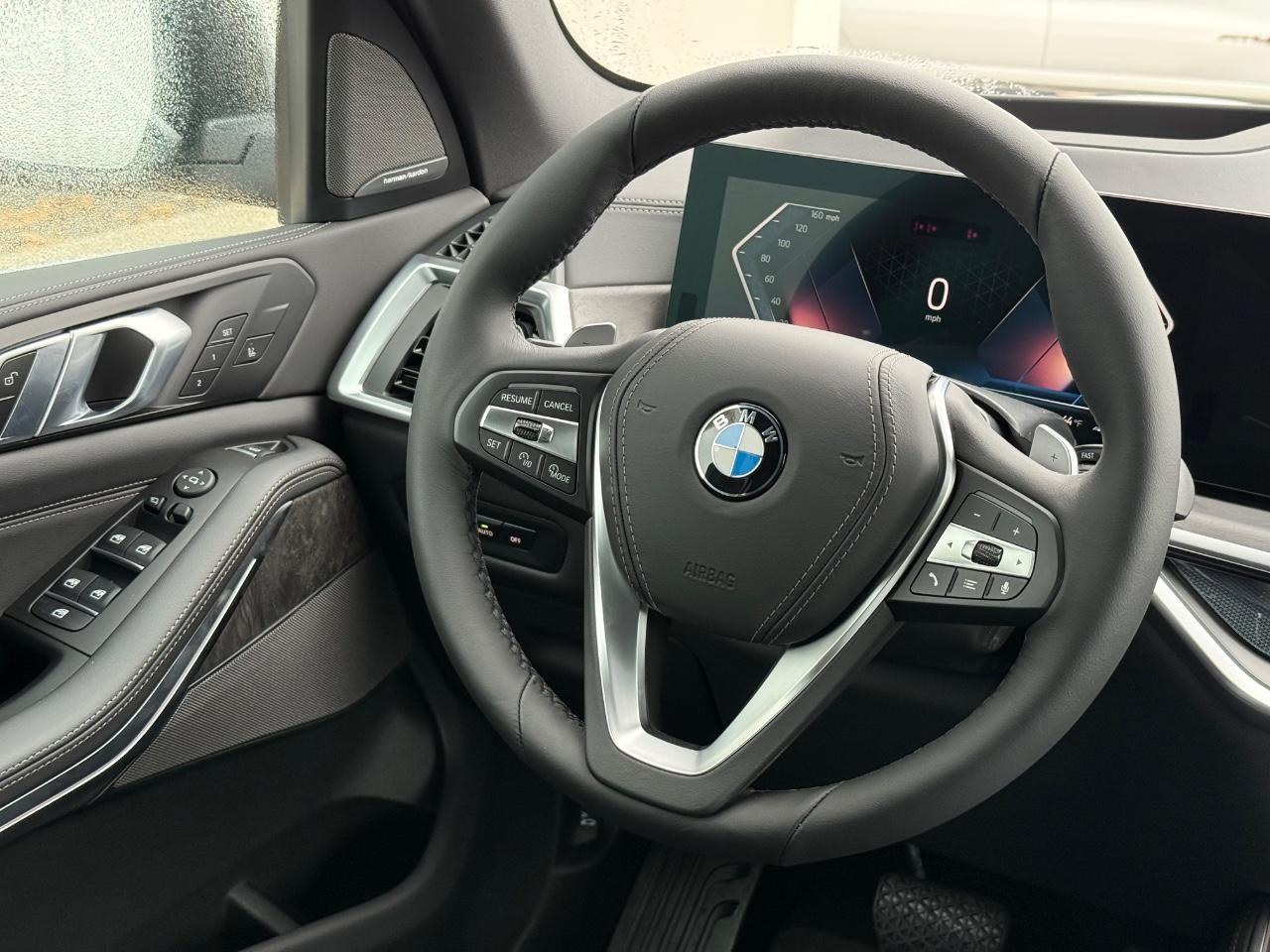 BMW X5 Vehicle Image 09