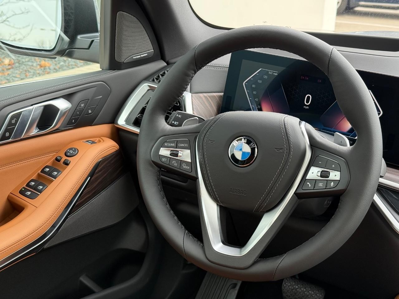 BMW X5 Vehicle Image 09