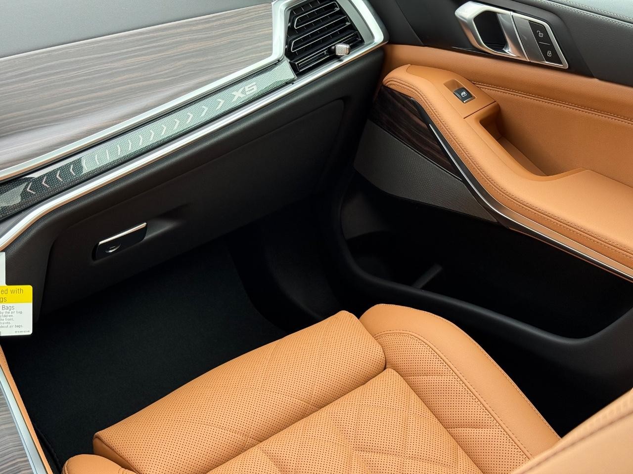 BMW X5 Vehicle Image 10