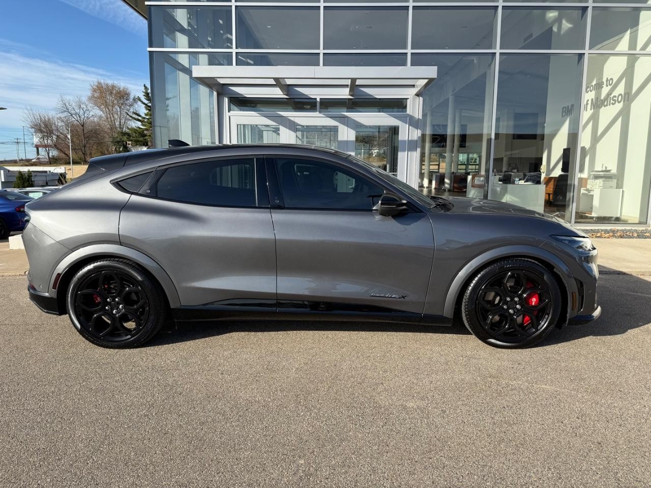 Ford Mustang Mach-E Vehicle Image 02