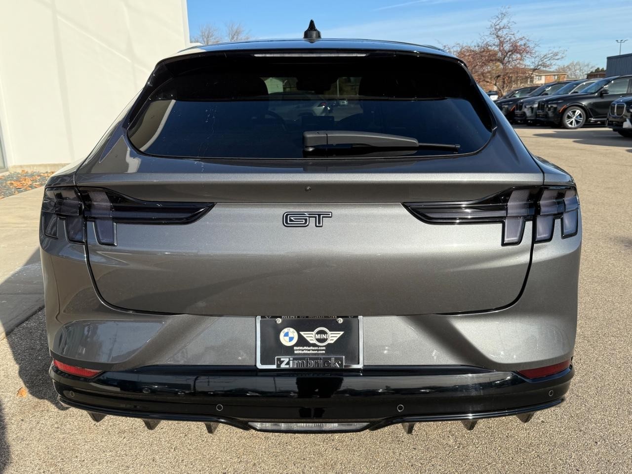 Ford Mustang Mach-E Vehicle Image 04