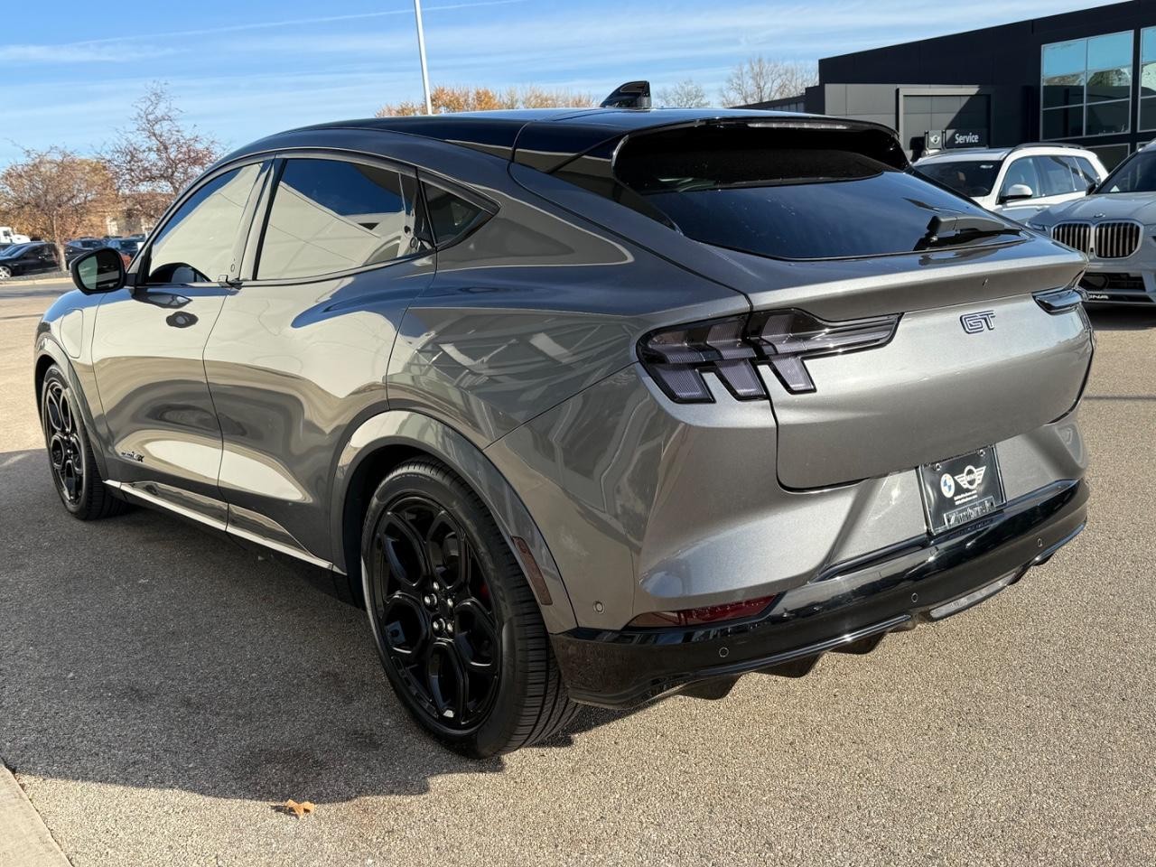 Ford Mustang Mach-E Vehicle Image 06