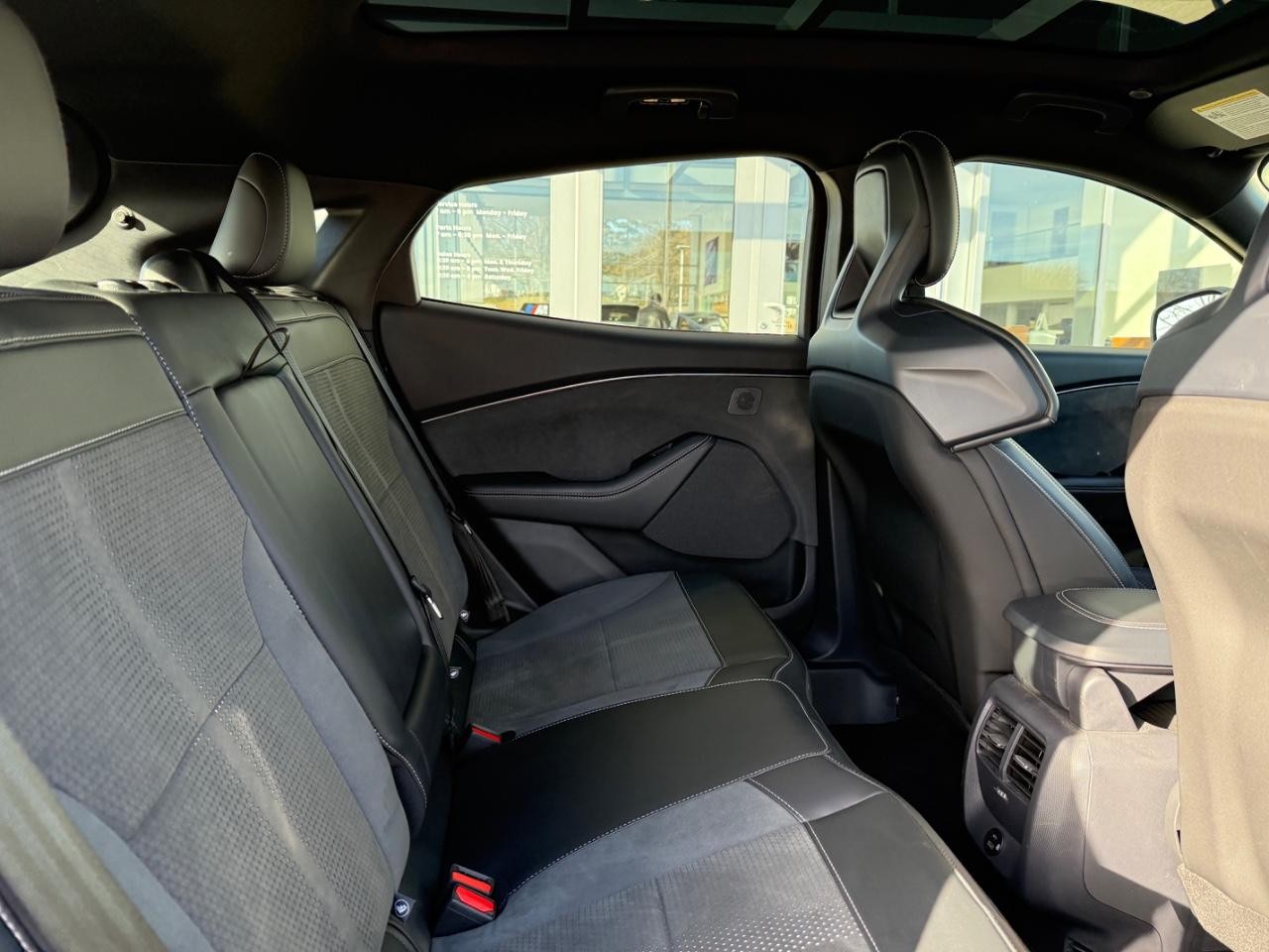 Ford Mustang Mach-E Vehicle Image 09