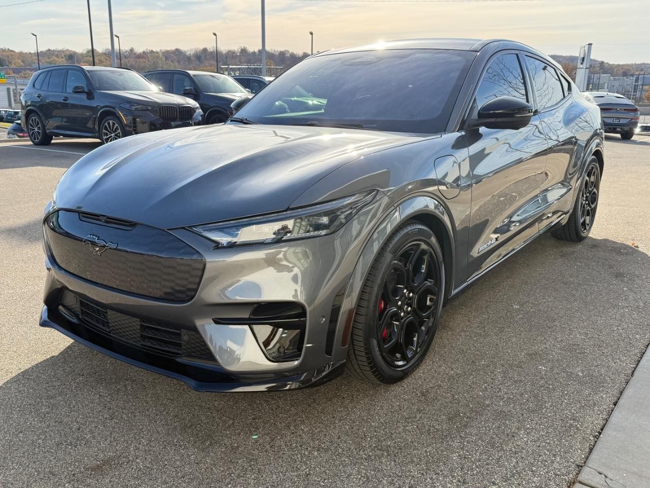 Ford Mustang Mach-E Vehicle Image 10