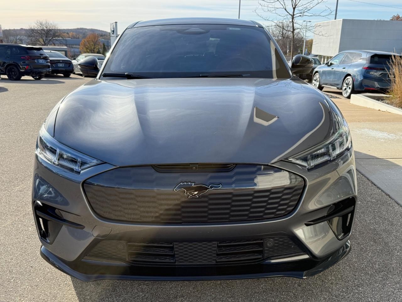 Ford Mustang Mach-E Vehicle Image 11