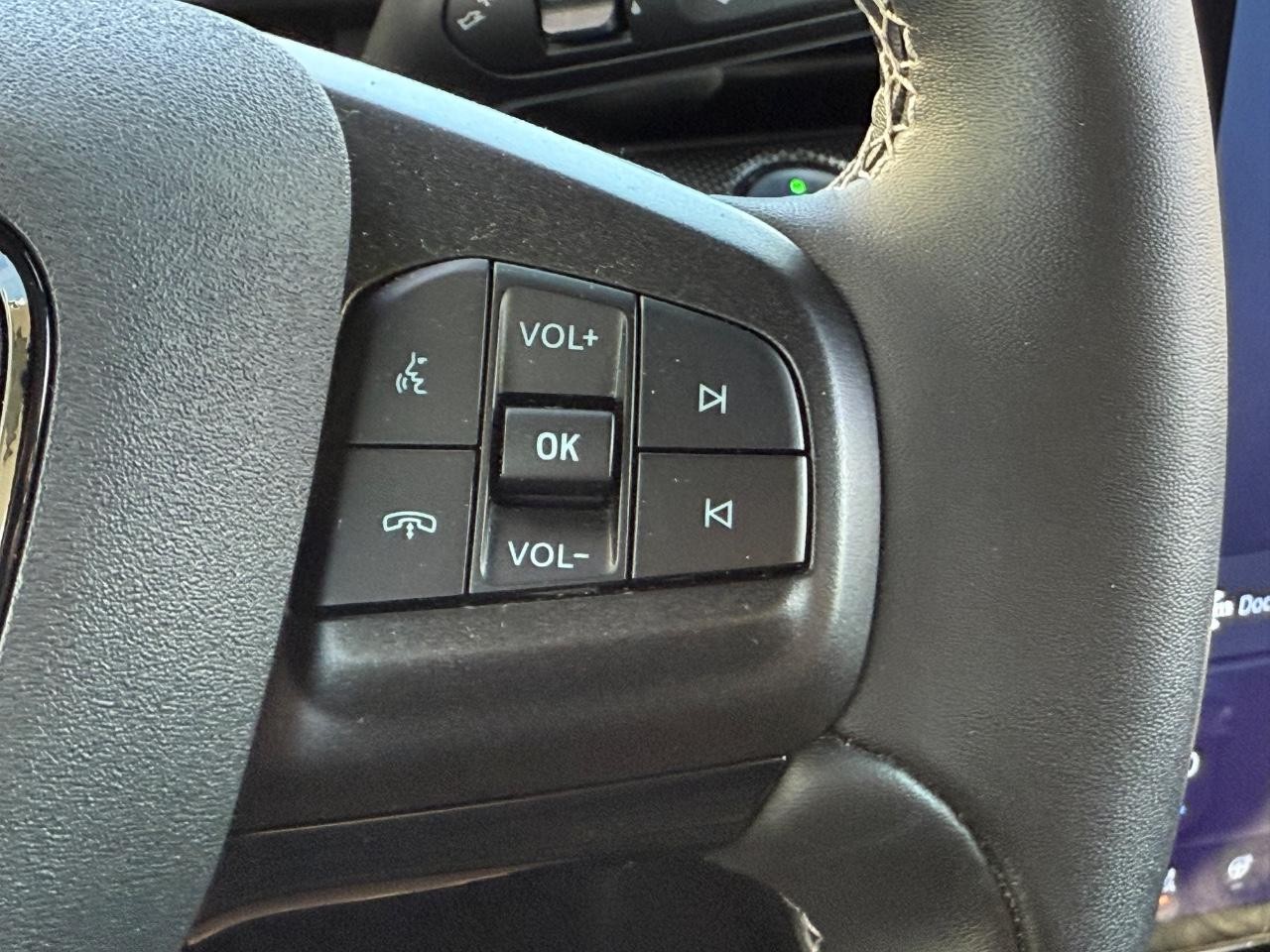 Ford Mustang Mach-E Vehicle Image 18