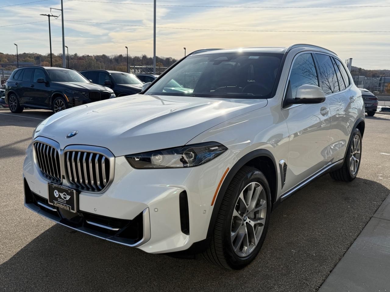 BMW X5 Vehicle Image 07