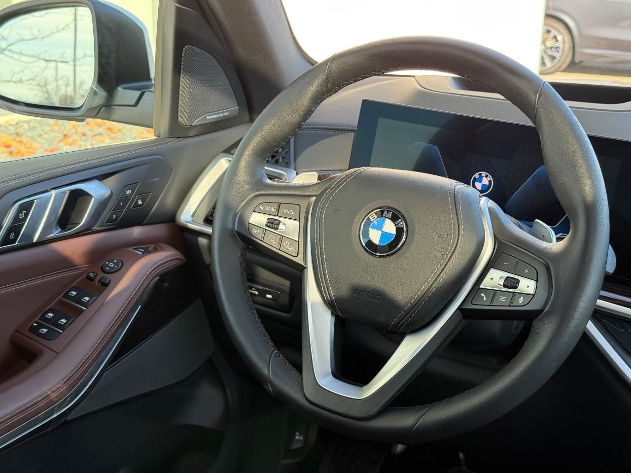 BMW X5 Vehicle Image 13