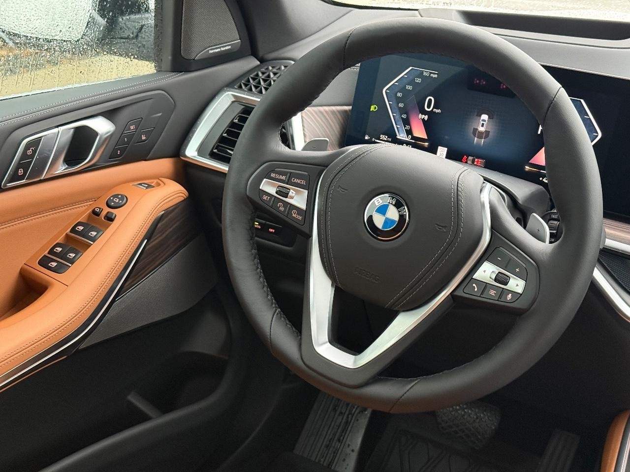 BMW X5 Vehicle Image 09