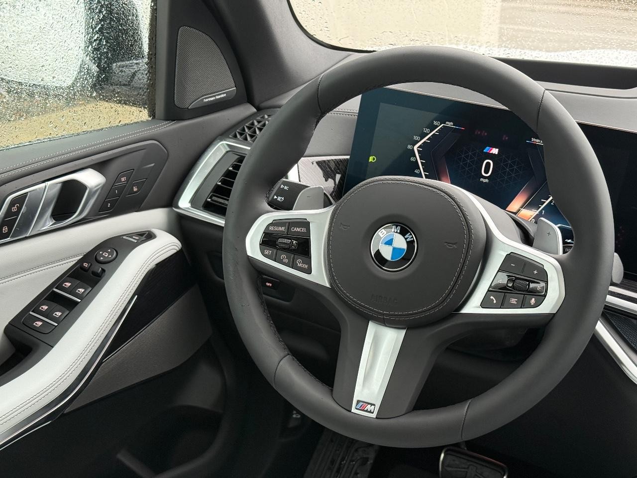 BMW X5 Vehicle Image 09