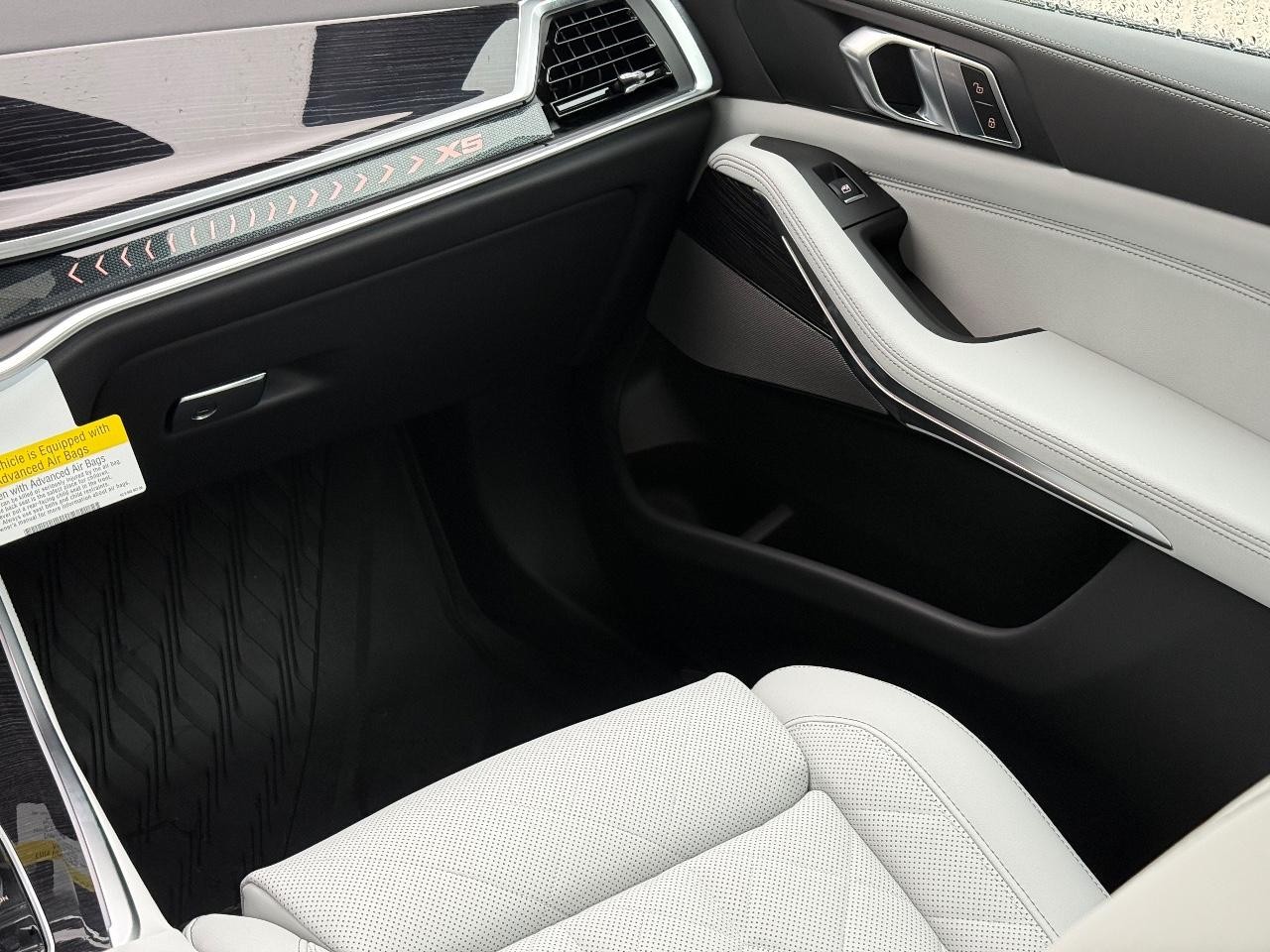 BMW X5 Vehicle Image 10