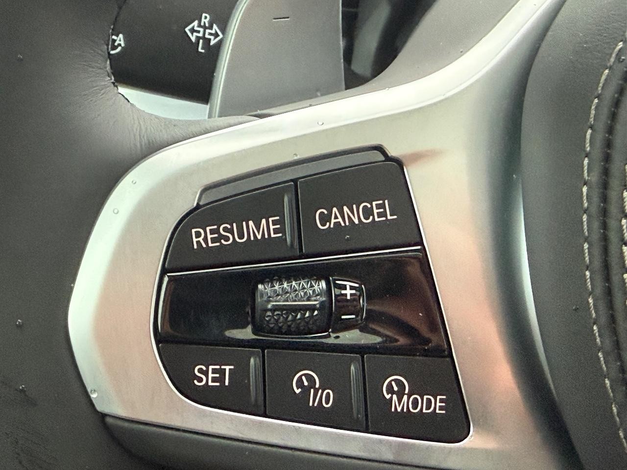 BMW X5 Vehicle Image 11