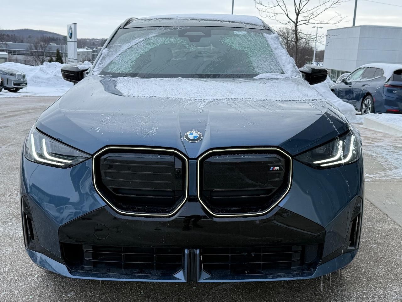 BMW X3 Vehicle Image 08