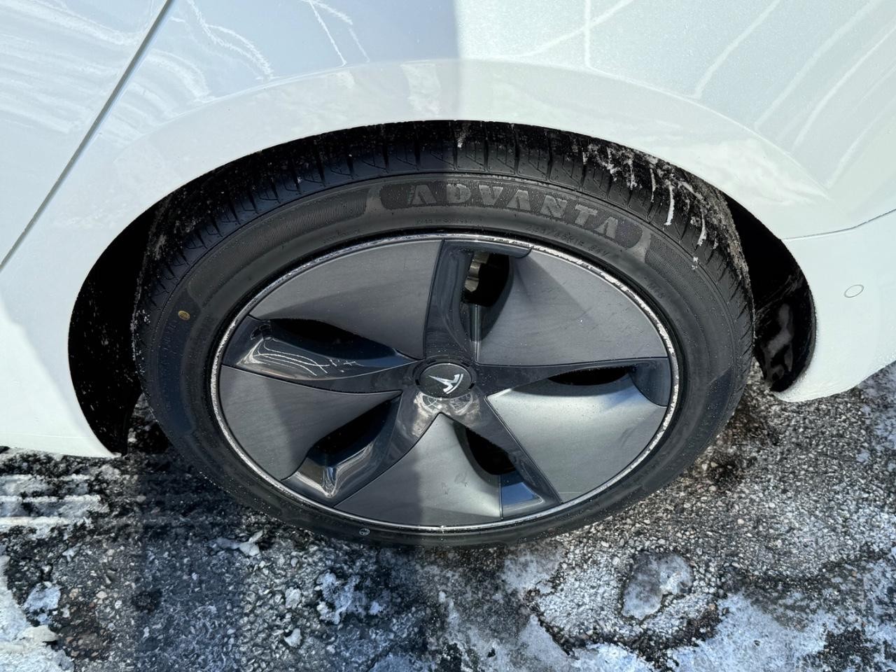 Tesla Model 3 Vehicle Image 06