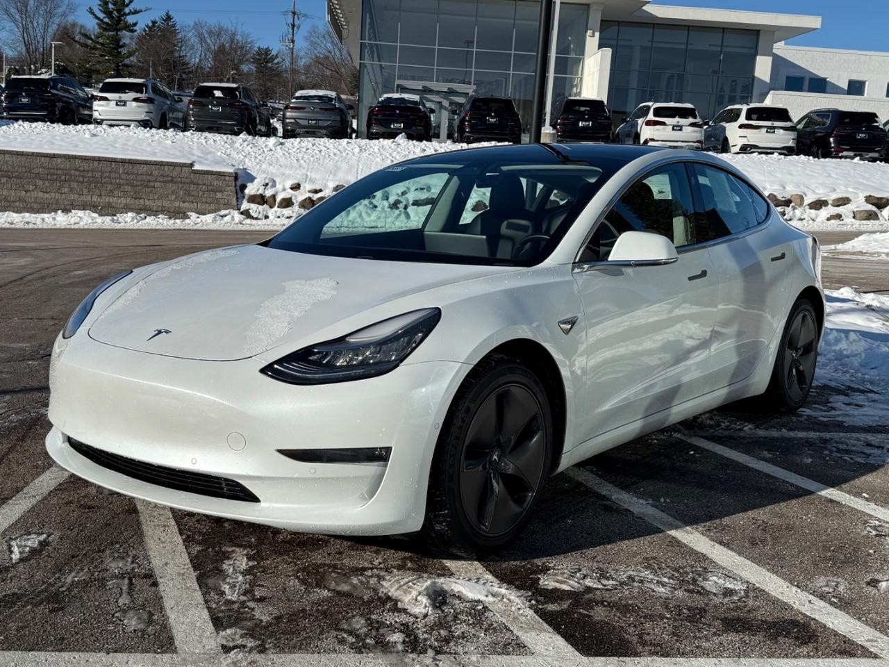 Tesla Model 3 Vehicle Image 07