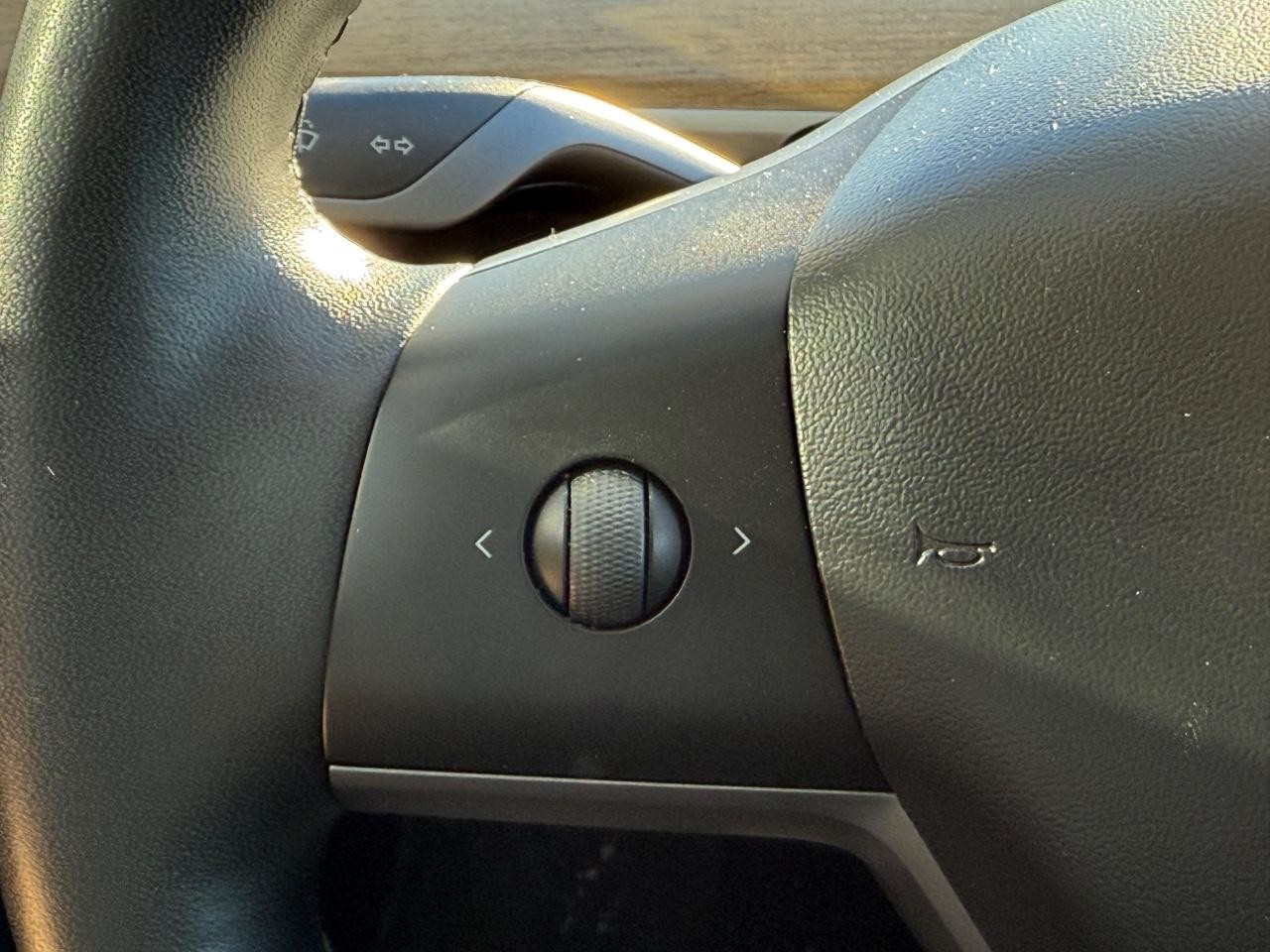 Tesla Model 3 Vehicle Image 14