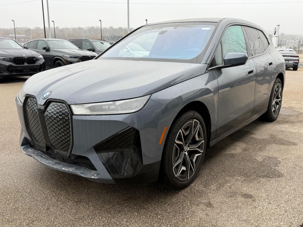 BMW iX Vehicle Image 07