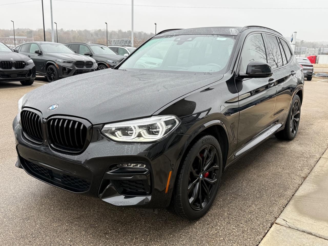 BMW X3 Vehicle Image 07