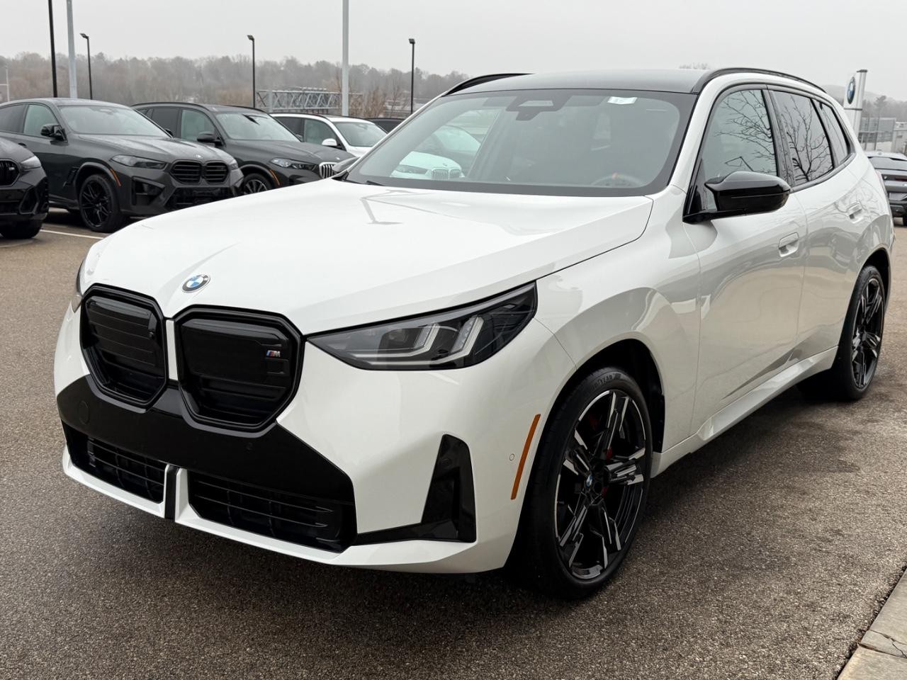 BMW X3 Vehicle Image 07