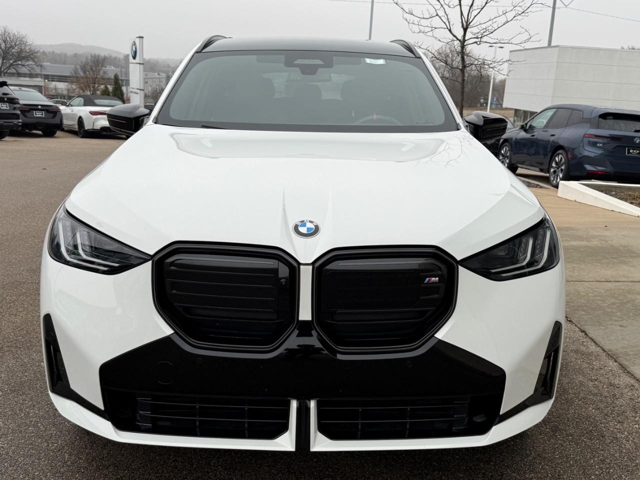 BMW X3 Vehicle Image 08