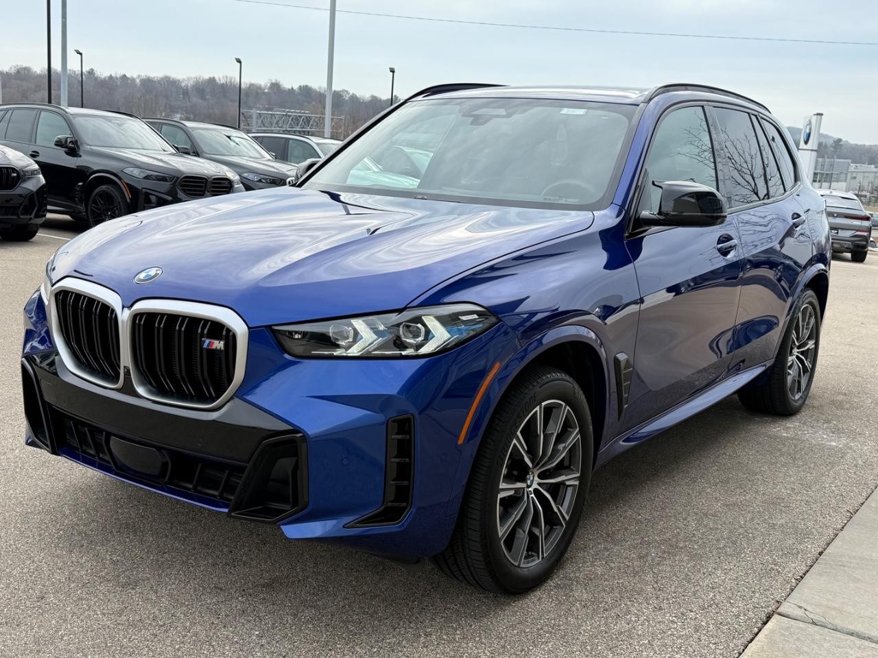 BMW X5 Vehicle Image 08