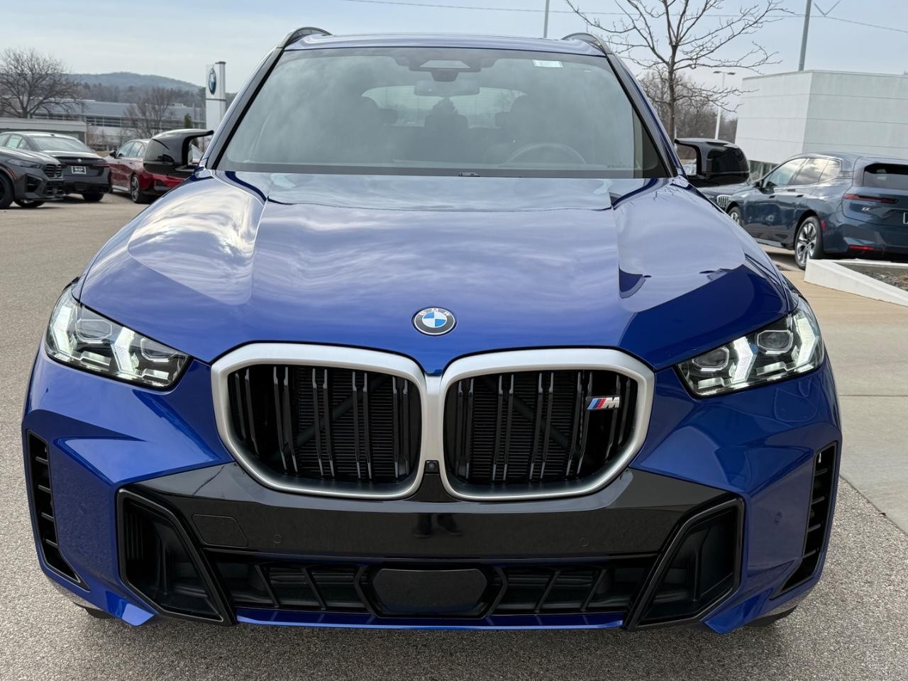 BMW X5 Vehicle Image 09