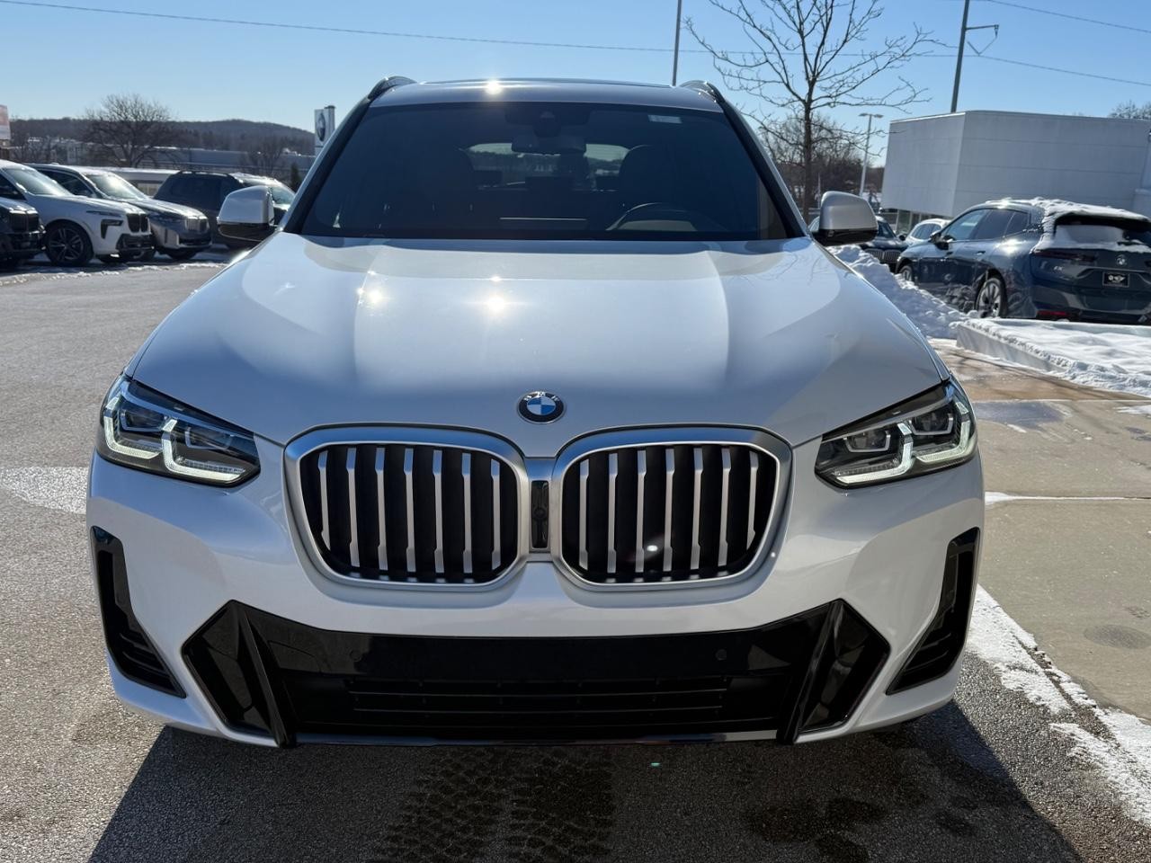 BMW X3 Vehicle Image 08