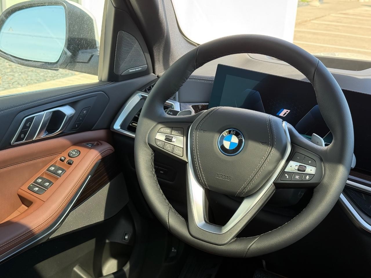 BMW X5 Vehicle Image 09