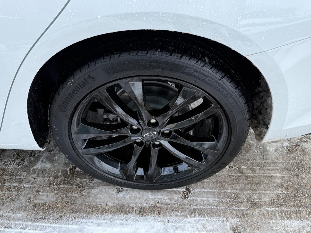 Chevrolet Malibu Vehicle Image 06