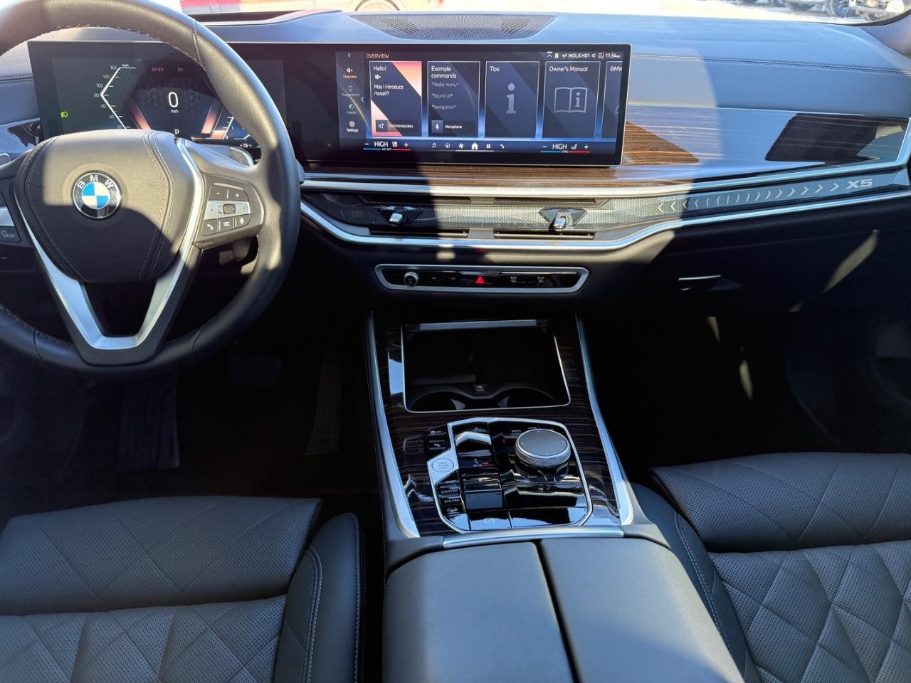 BMW X5 Vehicle Image 10