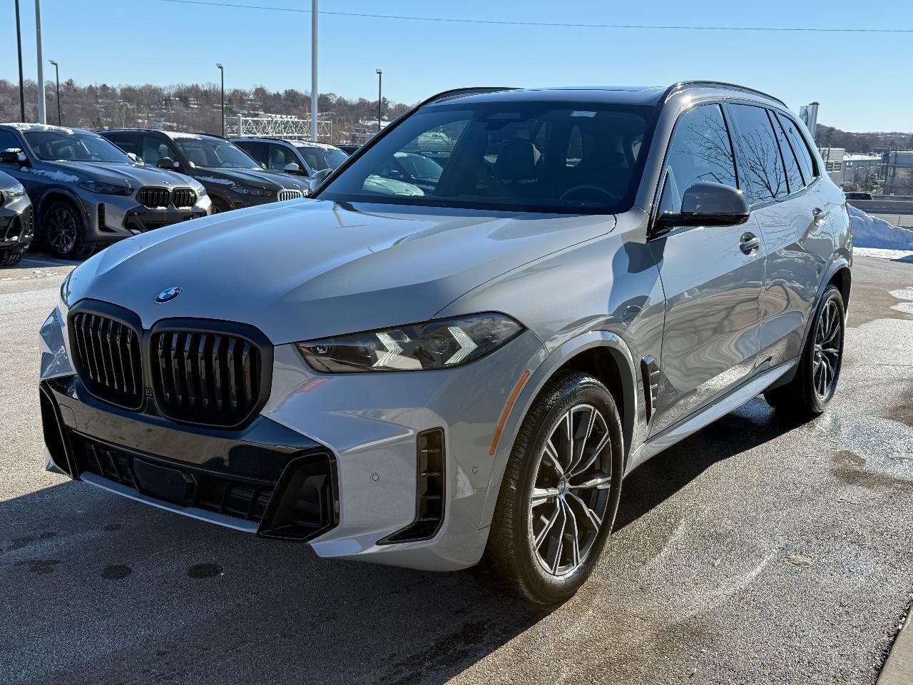 BMW X5 Vehicle Image 08