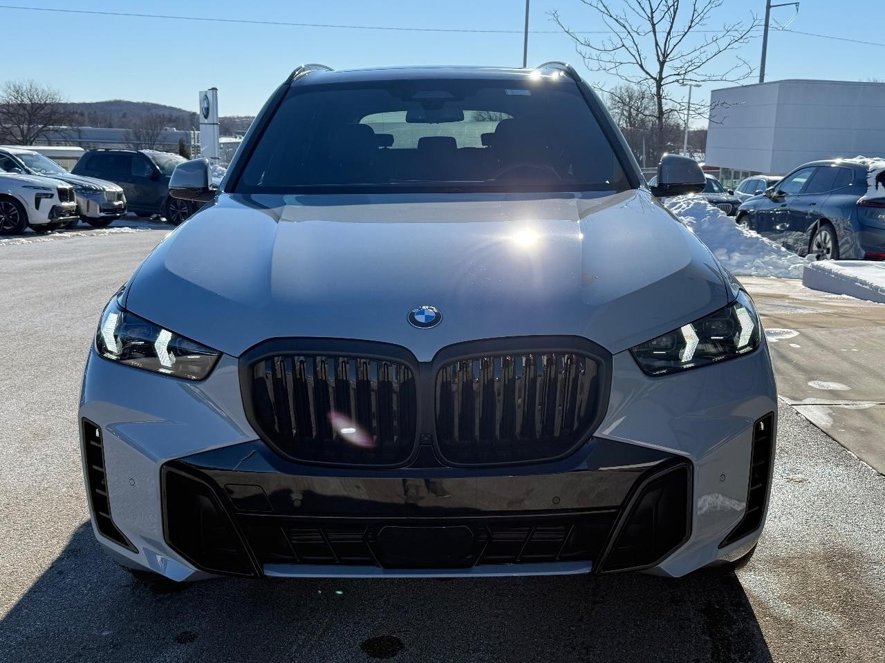 BMW X5 Vehicle Image 09