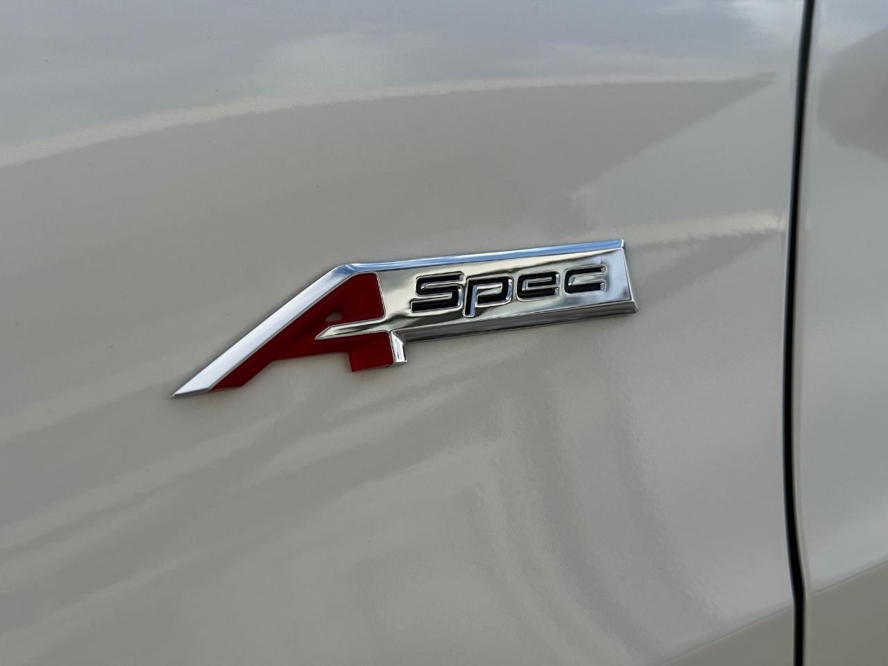 Acura Integra Vehicle Image 08