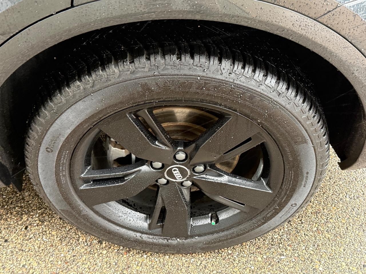 Audi Q5 Vehicle Image 06