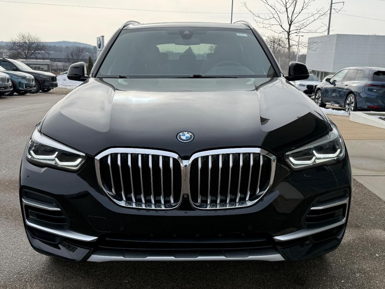 BMW X5 Vehicle Image 09