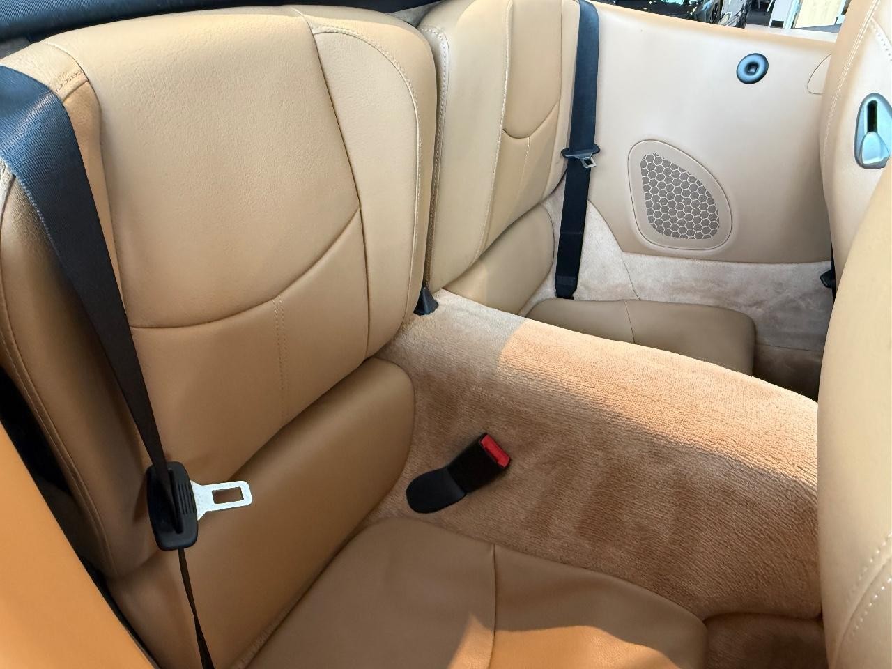 Porsche 911 Vehicle Image 08