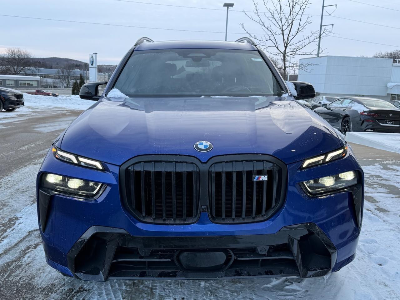 BMW X7 Vehicle Image 08