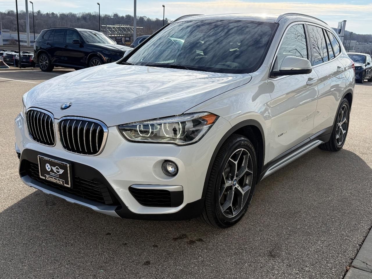 BMW X1 Vehicle Image 08